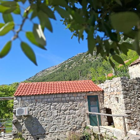 Cottage Melita The Apartment For Animal Lovers Babino Polje Dış mekan fotoğraf