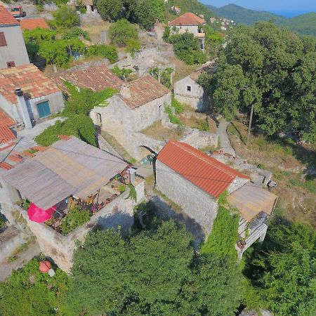 Cottage Melita The Apartment For Animal Lovers Babino Polje Dış mekan fotoğraf