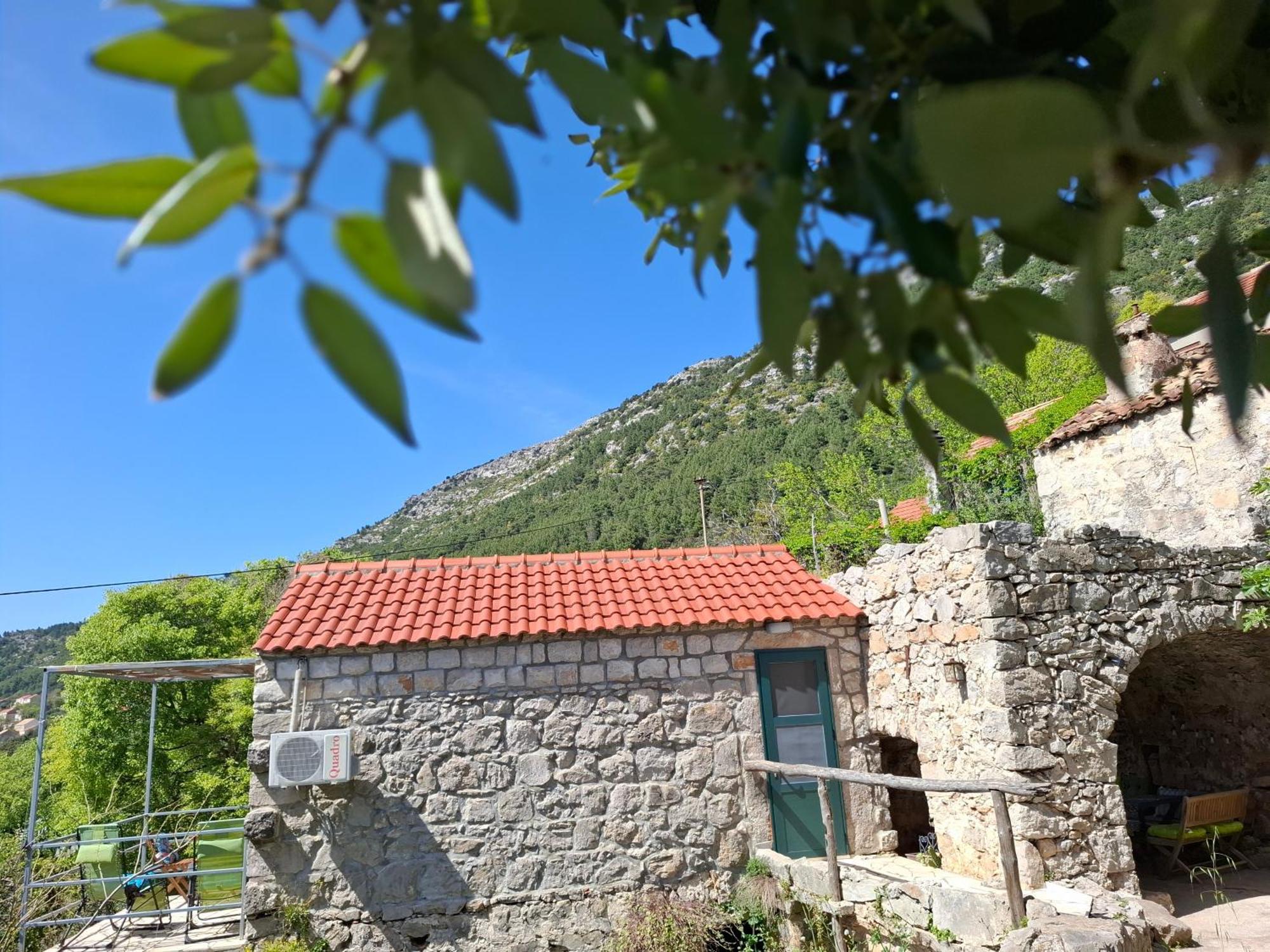 Cottage Melita The Apartment For Animal Lovers Babino Polje Dış mekan fotoğraf