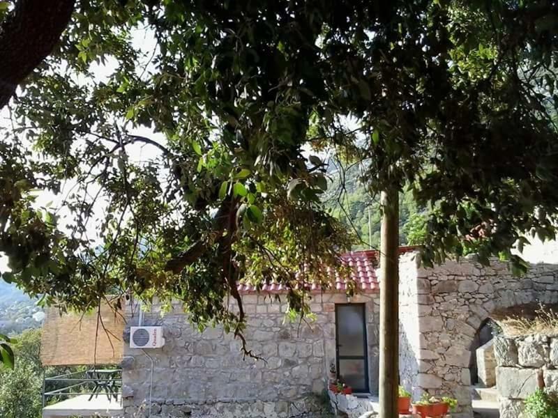 Cottage Melita The Apartment For Animal Lovers Babino Polje Dış mekan fotoğraf