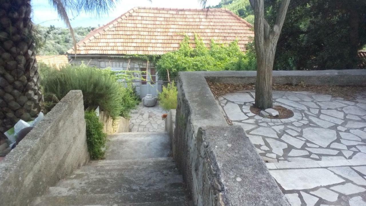 Cottage Melita The Apartment For Animal Lovers Babino Polje Dış mekan fotoğraf