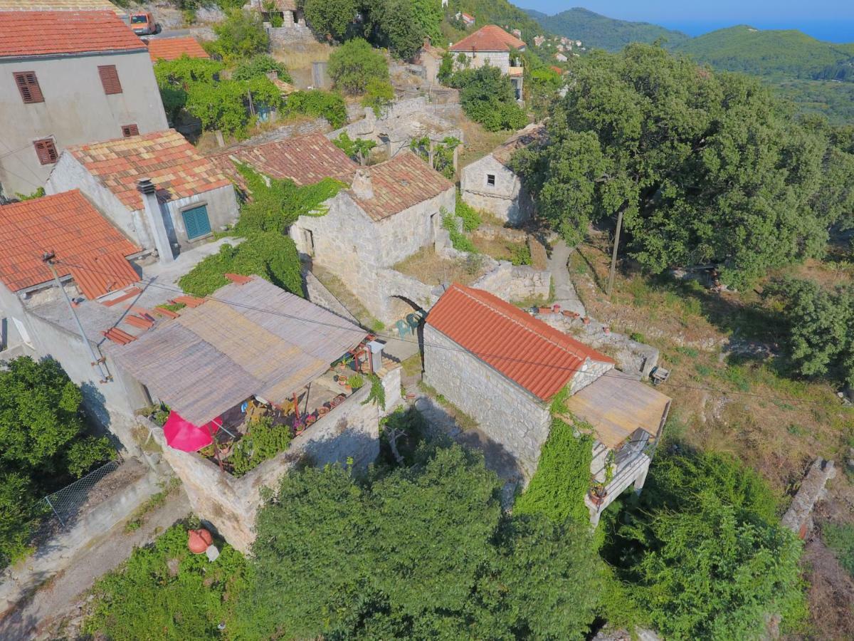 Cottage Melita The Apartment For Animal Lovers Babino Polje Dış mekan fotoğraf