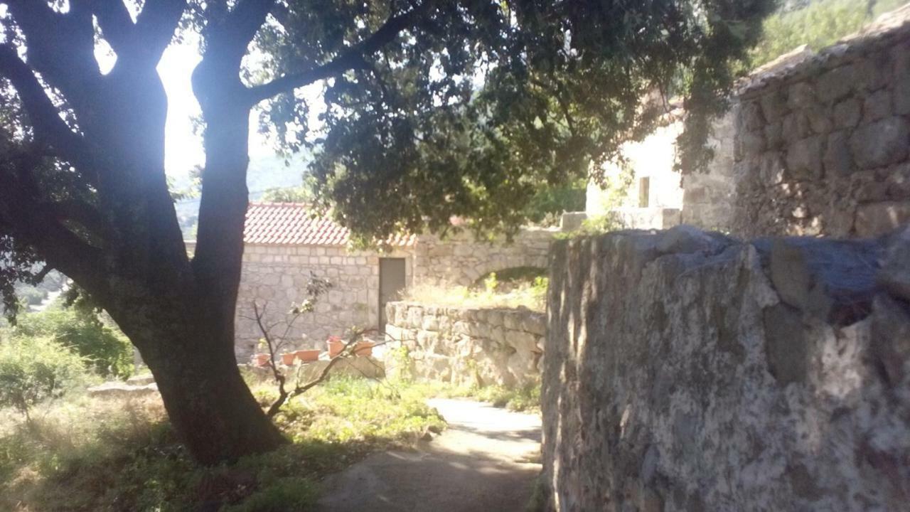 Cottage Melita The Apartment For Animal Lovers Babino Polje Dış mekan fotoğraf