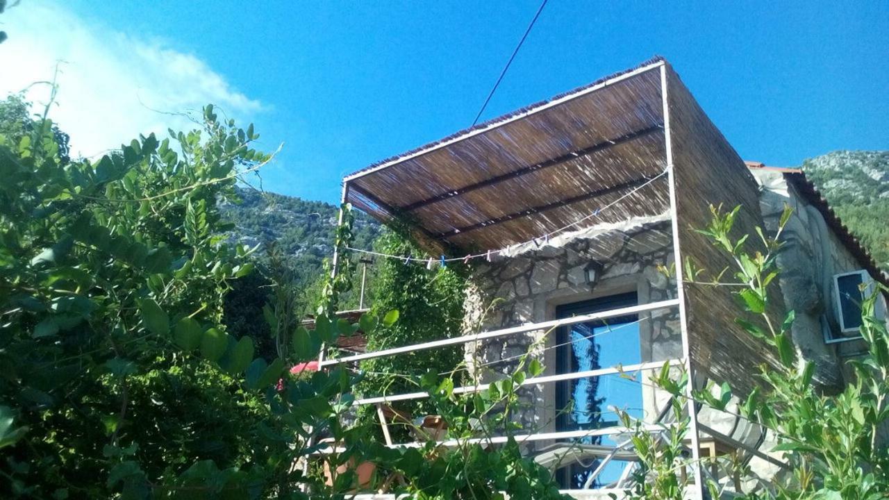 Cottage Melita The Apartment For Animal Lovers Babino Polje Dış mekan fotoğraf