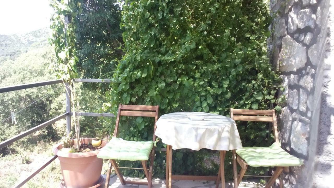 Cottage Melita The Apartment For Animal Lovers Babino Polje Dış mekan fotoğraf