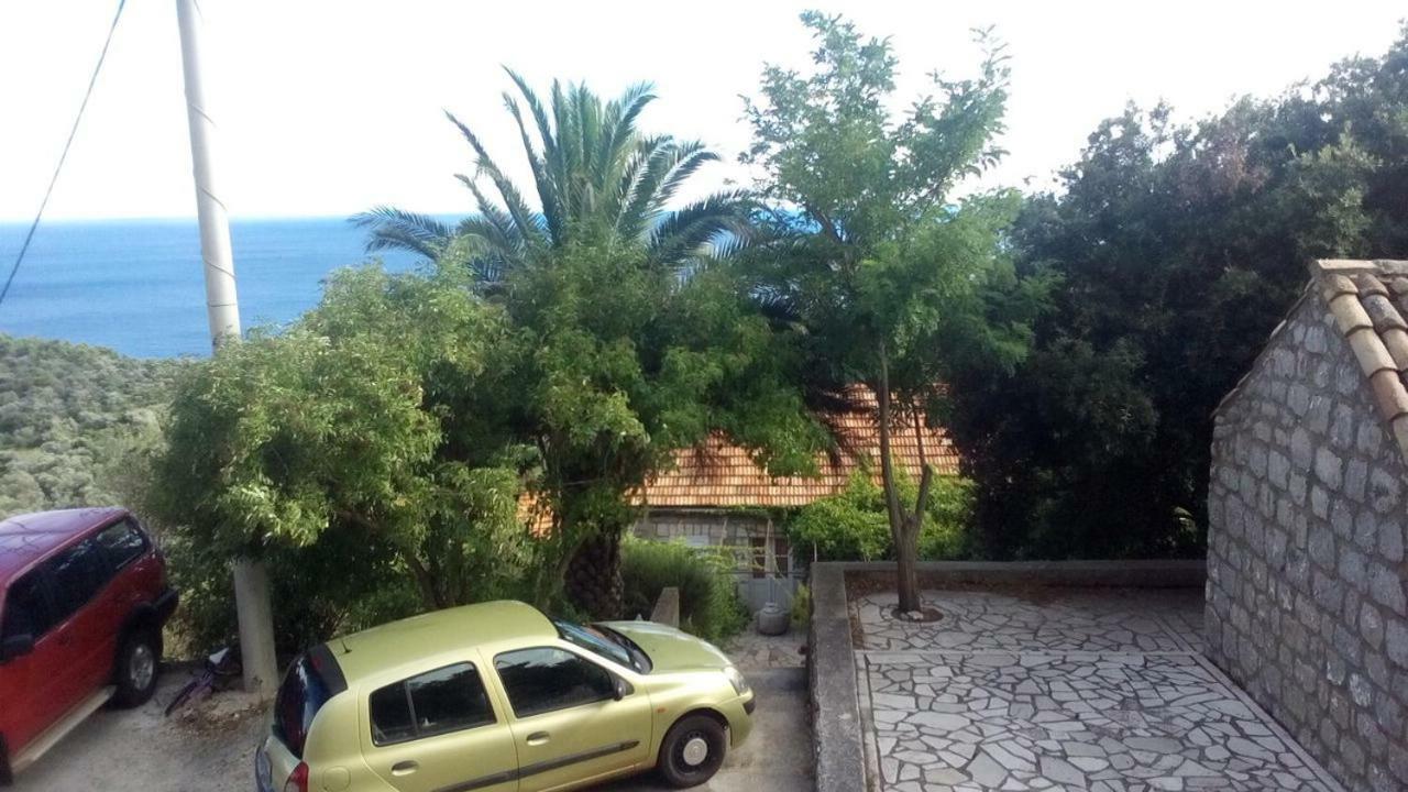 Cottage Melita The Apartment For Animal Lovers Babino Polje Dış mekan fotoğraf