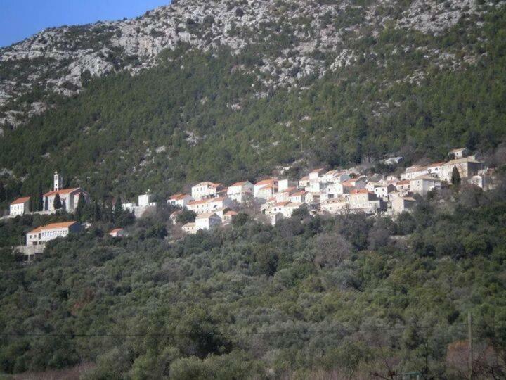 Cottage Melita The Apartment For Animal Lovers Babino Polje Dış mekan fotoğraf