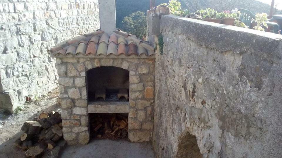 Cottage Melita The Apartment For Animal Lovers Babino Polje Dış mekan fotoğraf