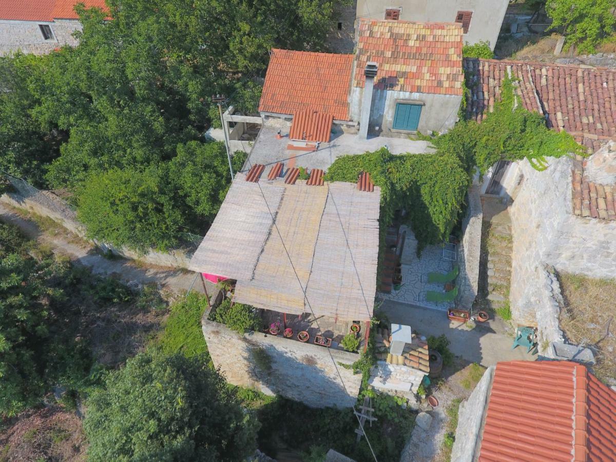 Cottage Melita The Apartment For Animal Lovers Babino Polje Dış mekan fotoğraf