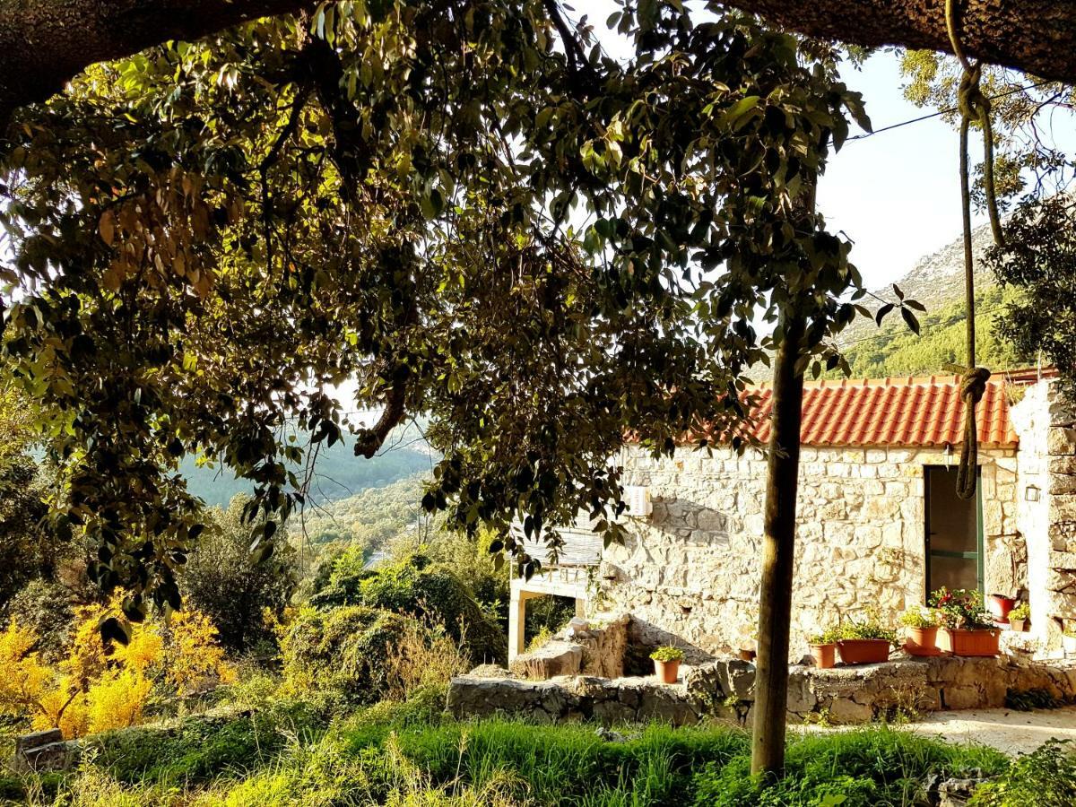 Cottage Melita The Apartment For Animal Lovers Babino Polje Dış mekan fotoğraf