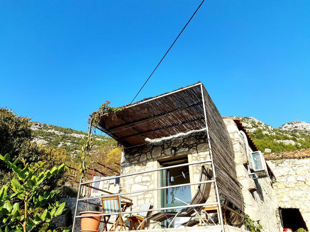 Cottage Melita The Apartment For Animal Lovers Babino Polje Dış mekan fotoğraf