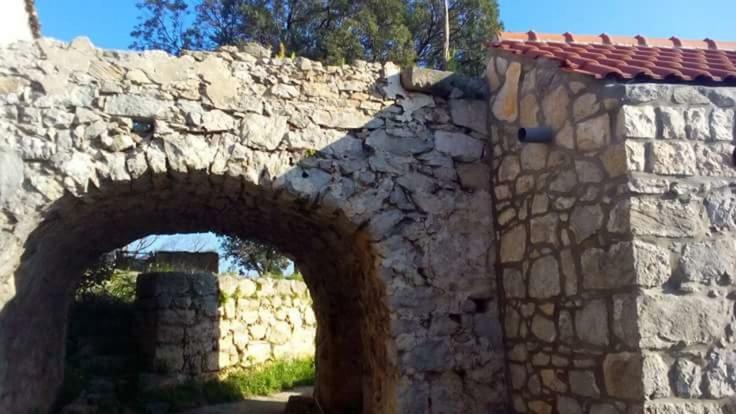Cottage Melita The Apartment For Animal Lovers Babino Polje Dış mekan fotoğraf