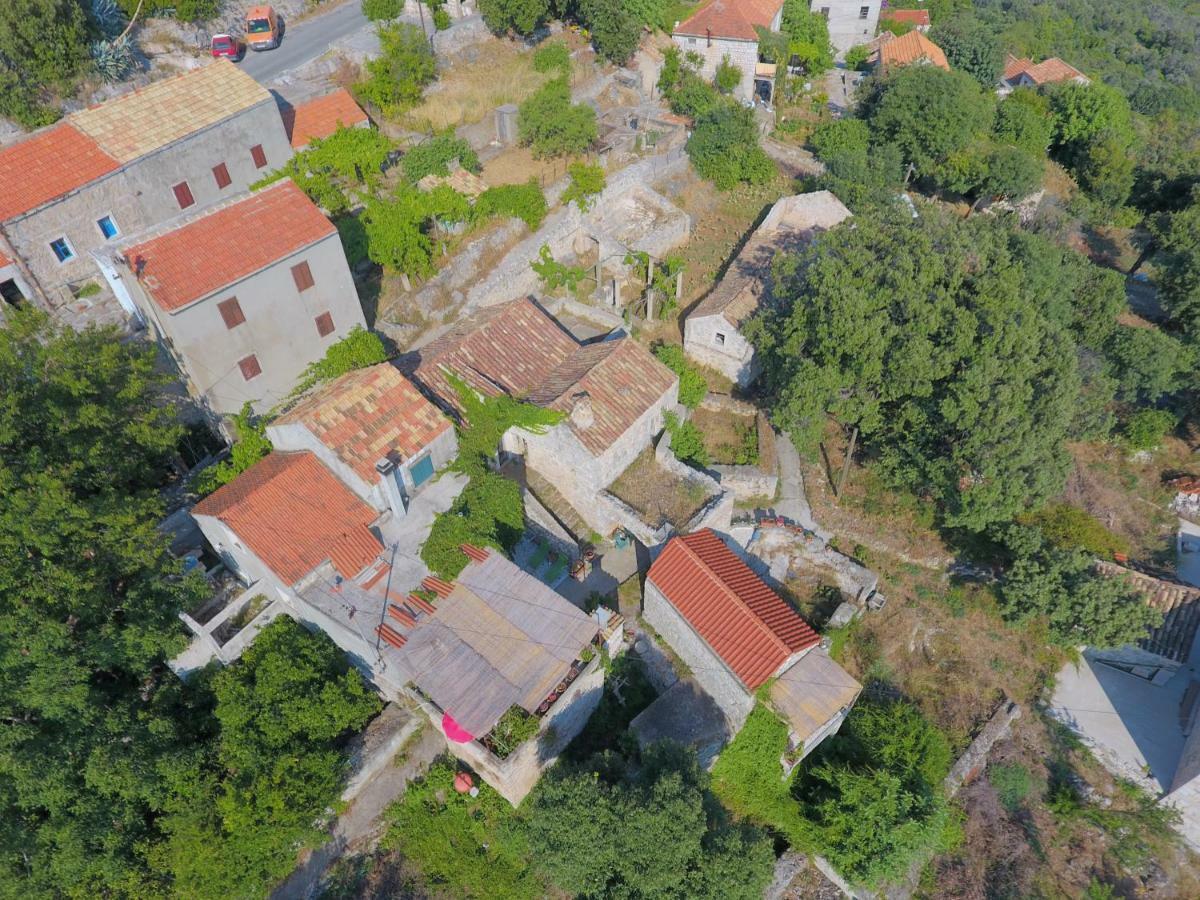 Cottage Melita The Apartment For Animal Lovers Babino Polje Dış mekan fotoğraf